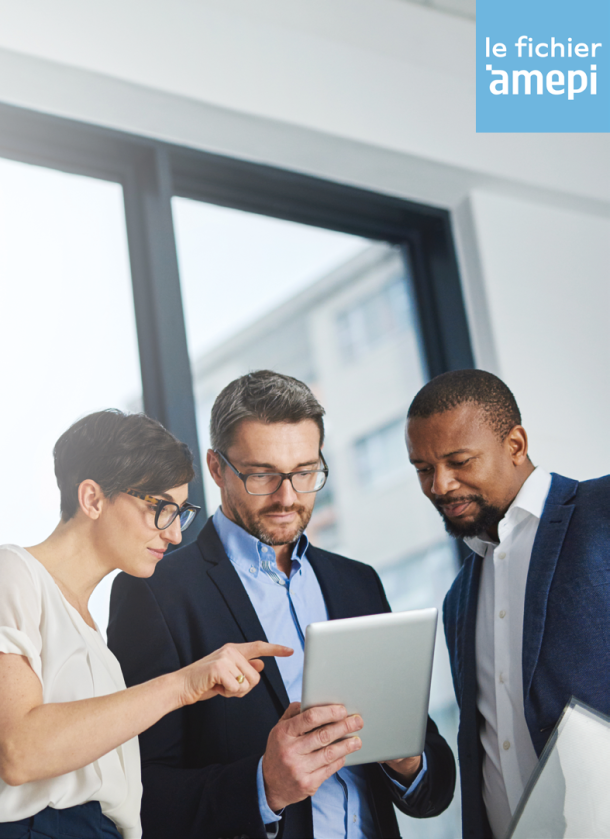 L'exclusivité Partagée avec le Fichier AMEPI : Une Nouvelle Dimension pour les Agents Immobiliers